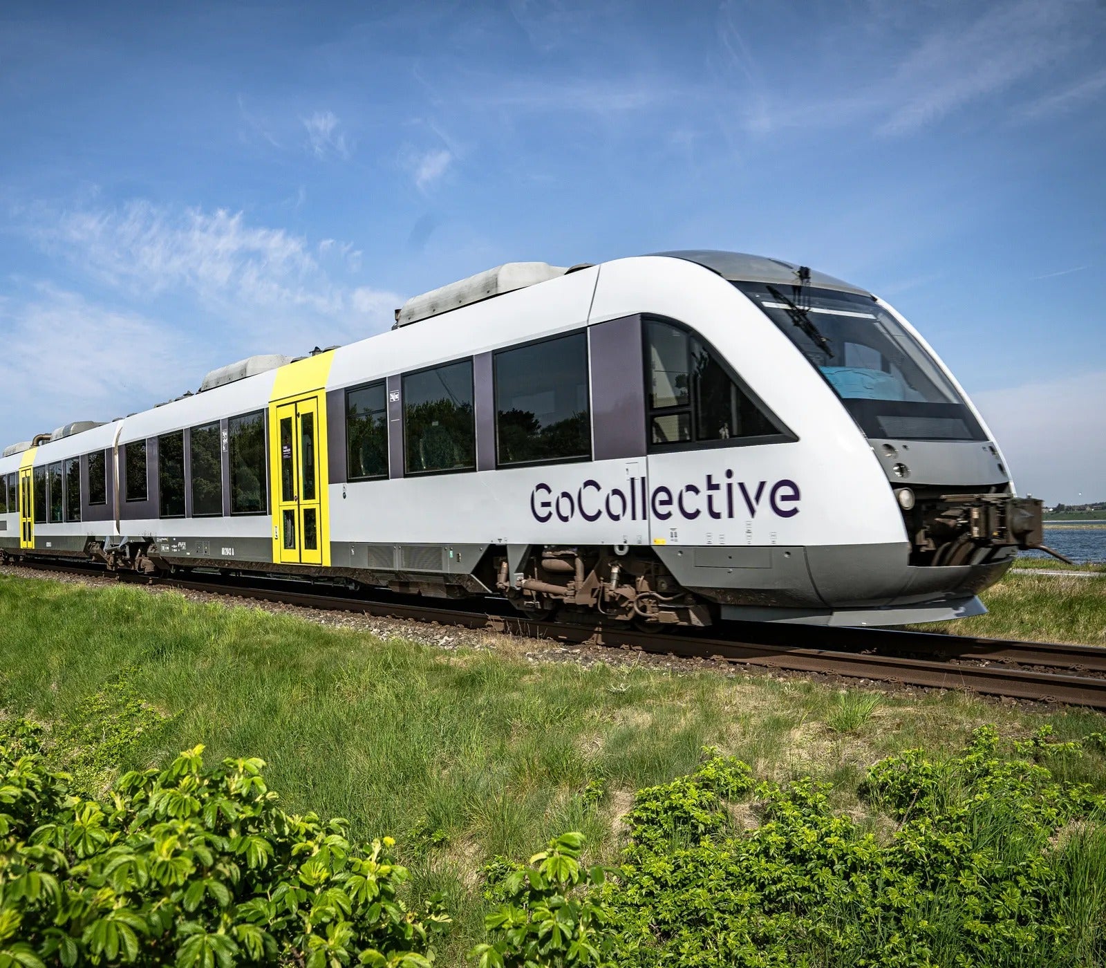 Newslines June 29, 2026