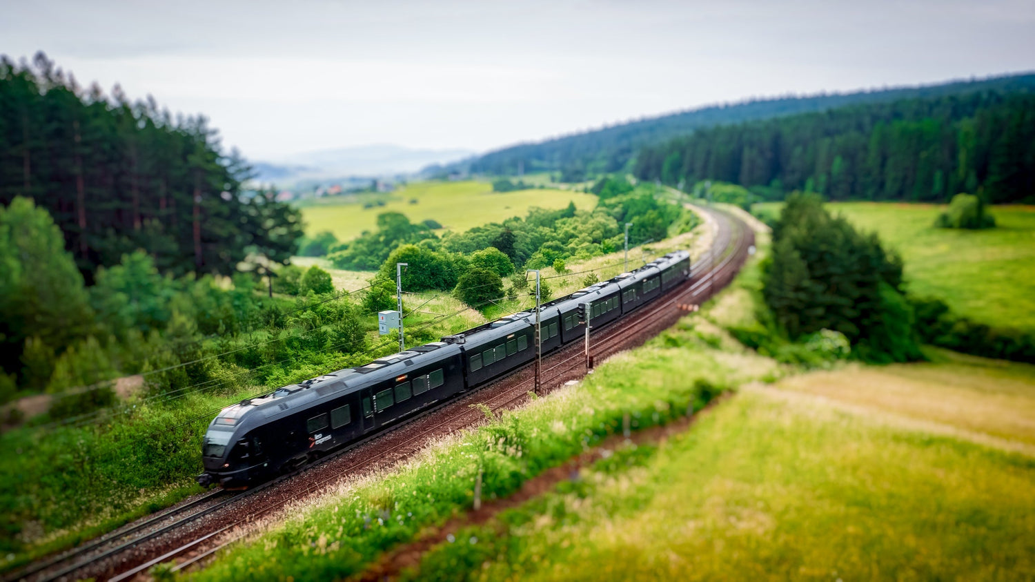 Newslines October 13–17